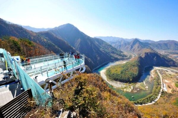 온라인 커뮤니티