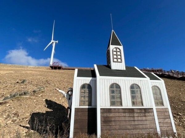 온라인 커뮤니티