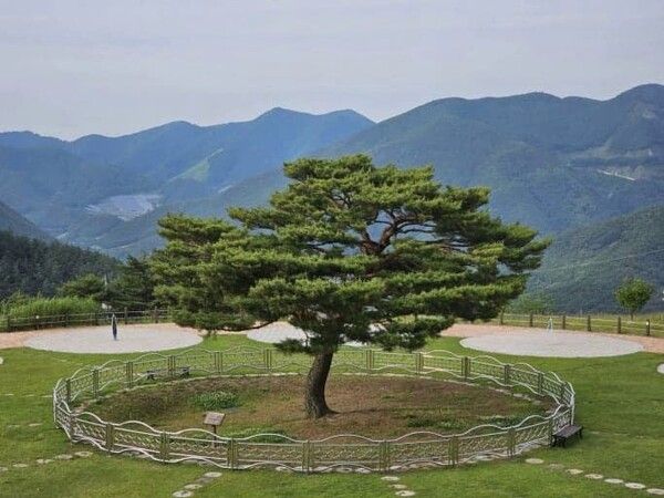 온라인 커뮤니티