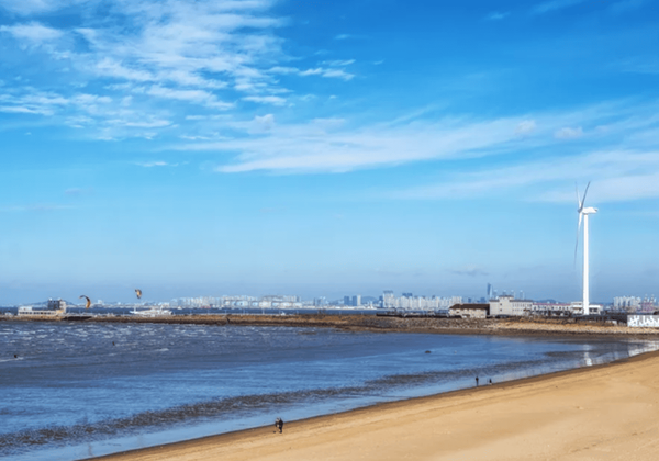 온라인 커뮤니티