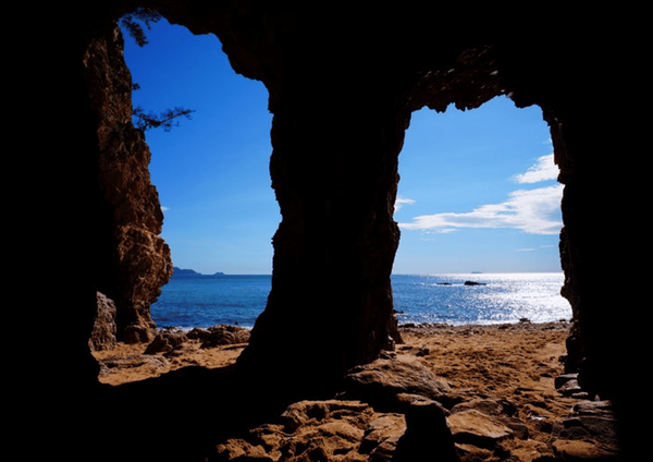 온라인 커뮤니티