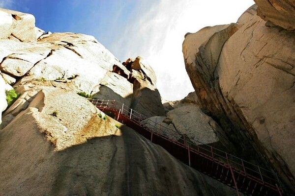 온라인 커뮤니티