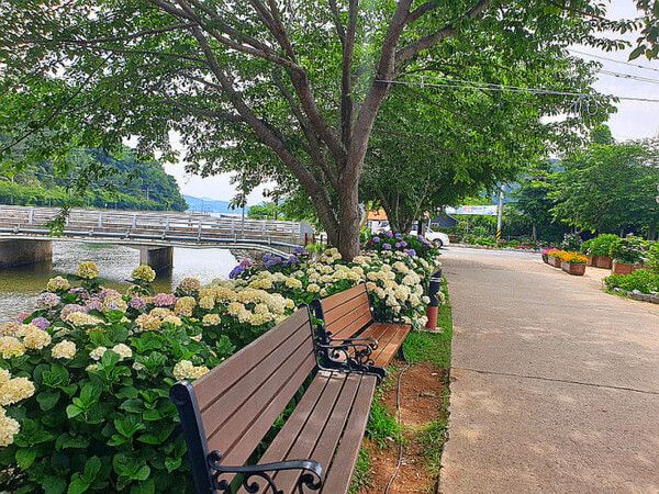 온라인 커뮤니티