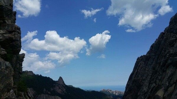 온라인 커뮤니티