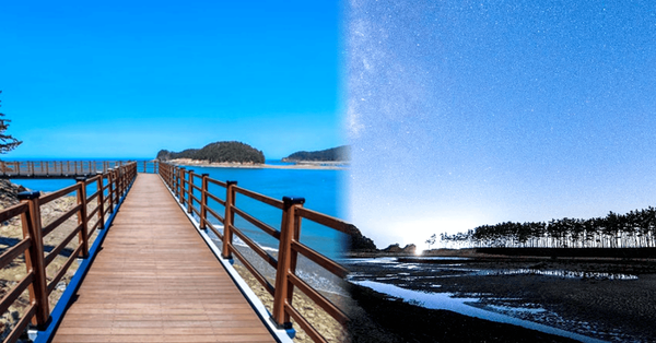 온라인 커뮤니티 / 트리플