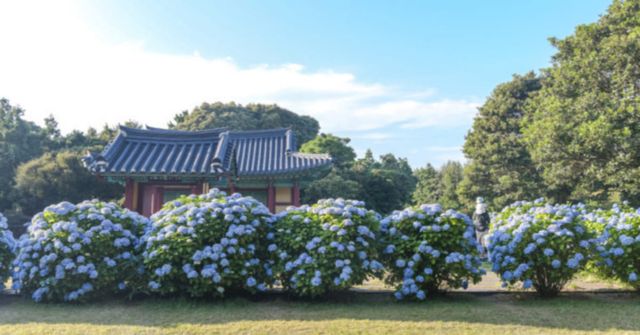 온라인 커뮤니티