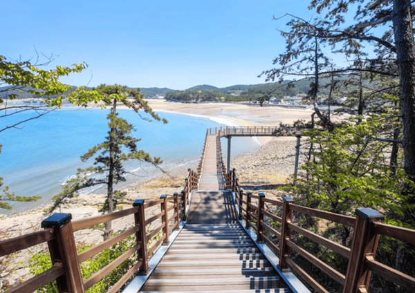 온라인 커뮤니티