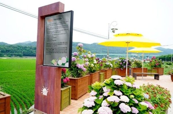 온라인 커뮤니티