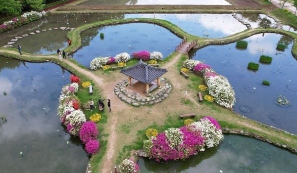 온라인 커뮤니티