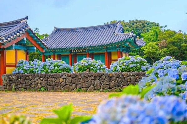 온라인 커뮤니티