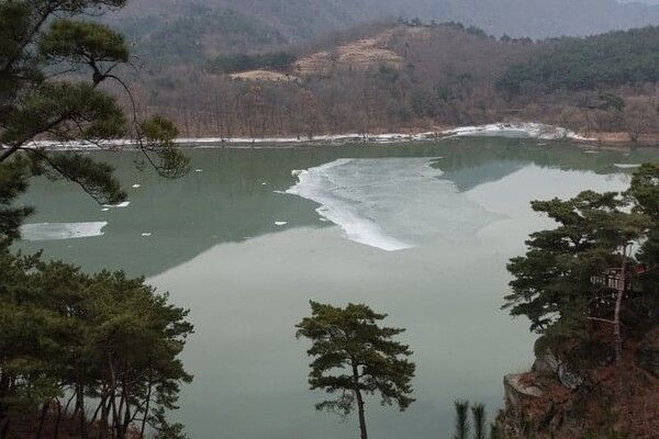 온라인 커뮤니티