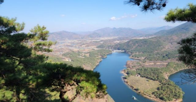 온라인 커뮤니티