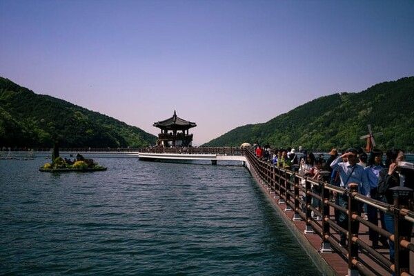 온라인 커뮤니티