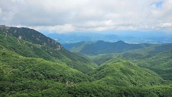온라인 커뮤니티