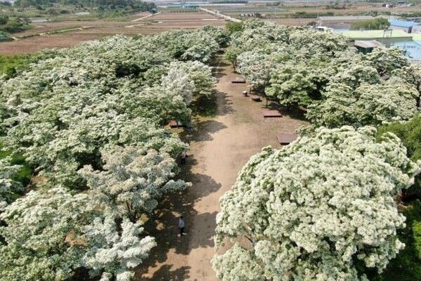 온라인 커뮤니티