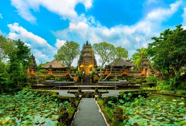 온라인 커뮤니티