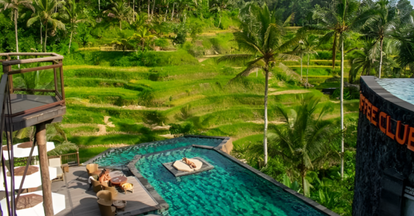 온라인 커뮤니티