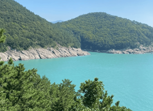 온라인 커뮤니티