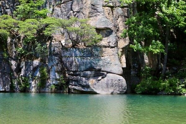 온라인 커뮤니티