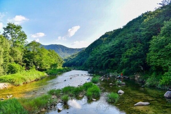 온라인 커뮤니티