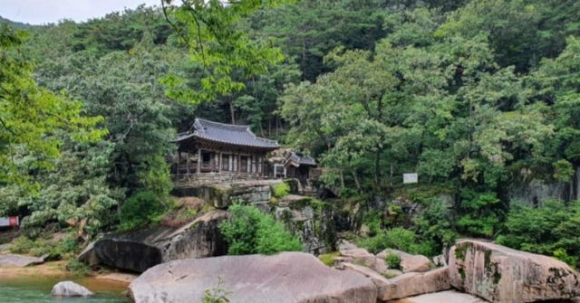 온라인 커뮤니티