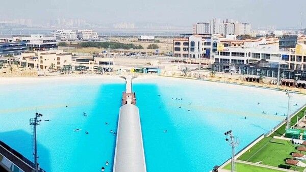 온라인 커뮤니티