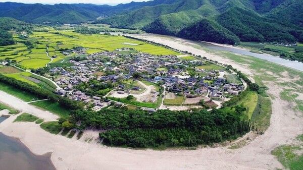 온라인 커뮤니티