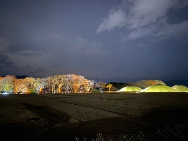 온라인 커뮤니티