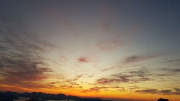 온라인 커뮤니티