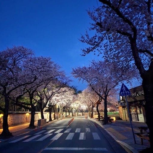 온라인 커뮤니티