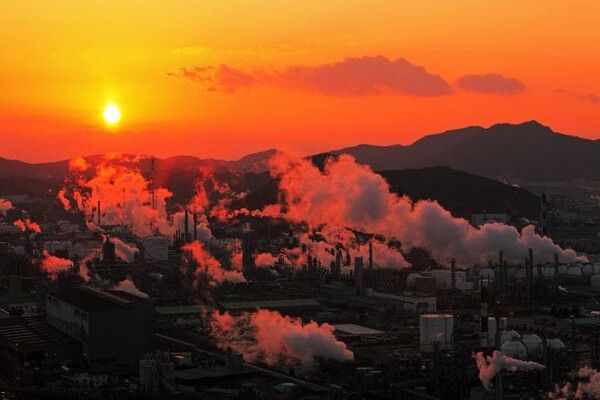 온라인 커뮤니티