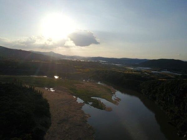 온라인 커뮤니티