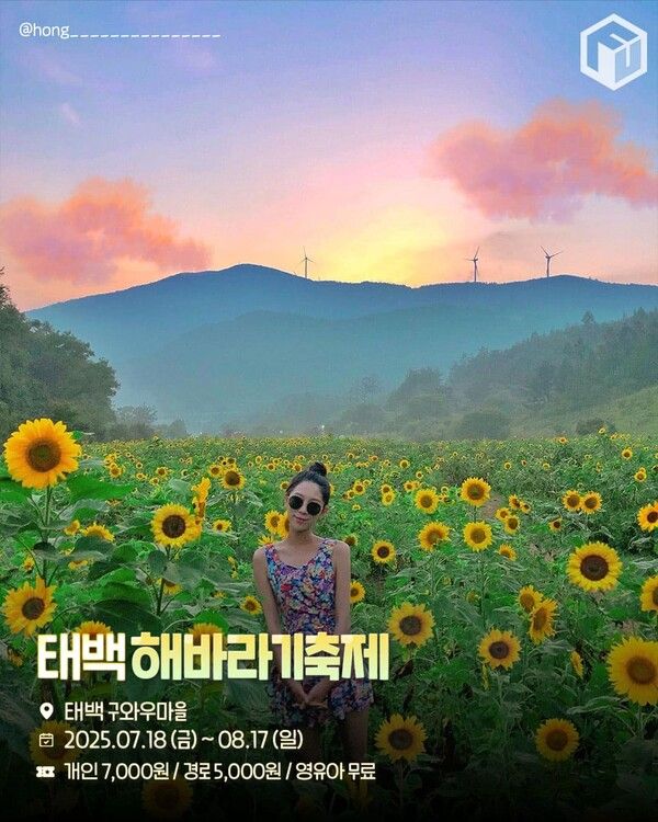 2025 태백 구와우마을 해바라기축제 일정 입장료 / ⓒ여행톡톡