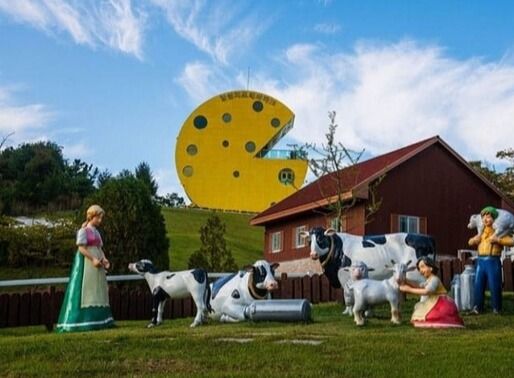 온라인 커뮤니티