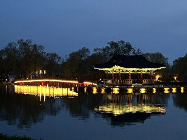 온라인 커뮤니티