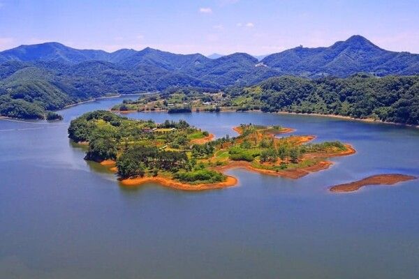 온라인 커뮤니티