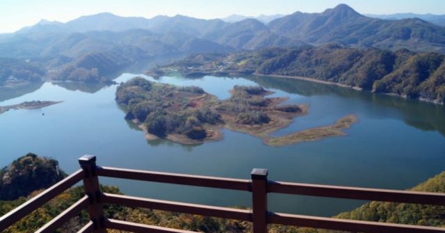 온라인 커뮤니티