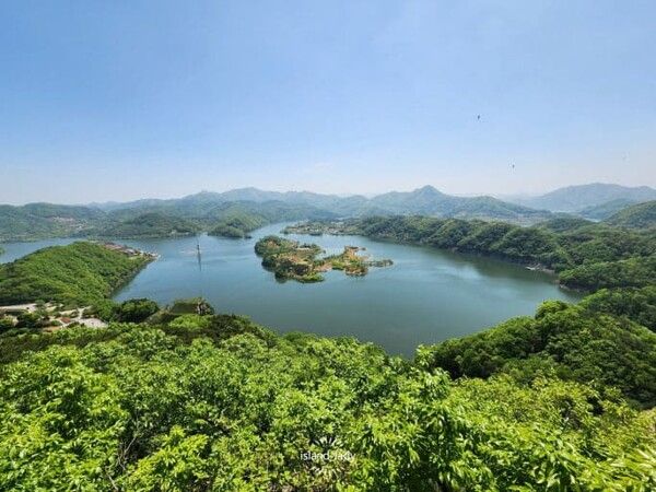 온라인 커뮤니티