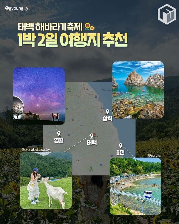 2025 태백 구와우마을 해바라기축제 일정 입장료 / ⓒ여행톡톡