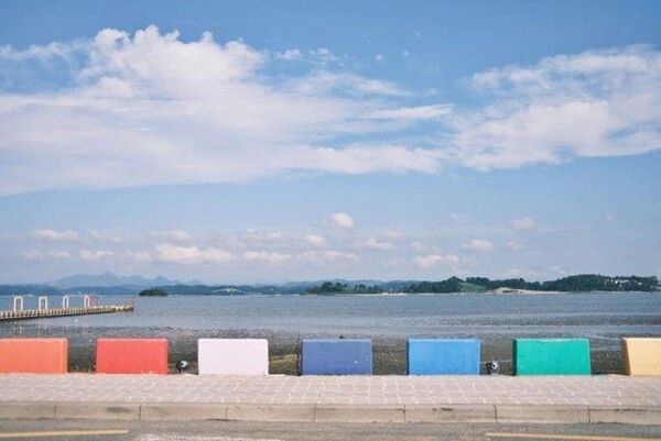 온라인 커뮤니티