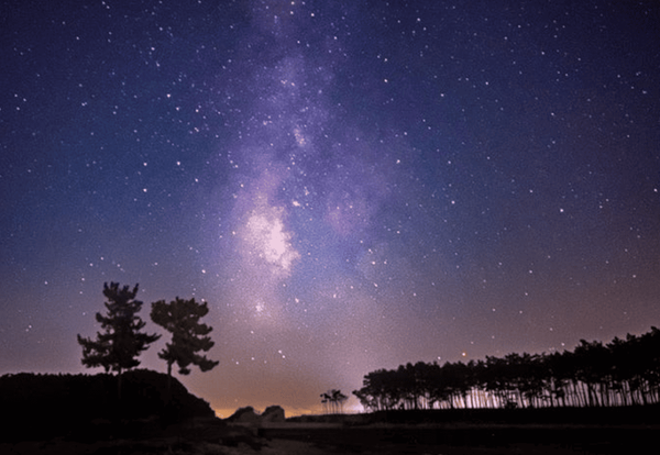 온라인 커뮤니티