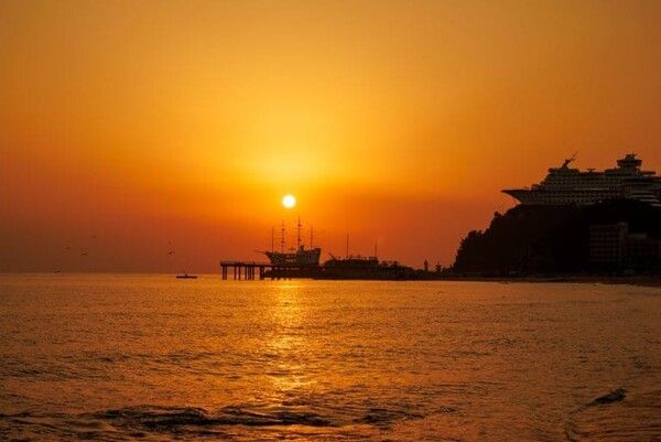 온라인 커뮤니티