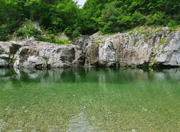 온라인 커뮤니티