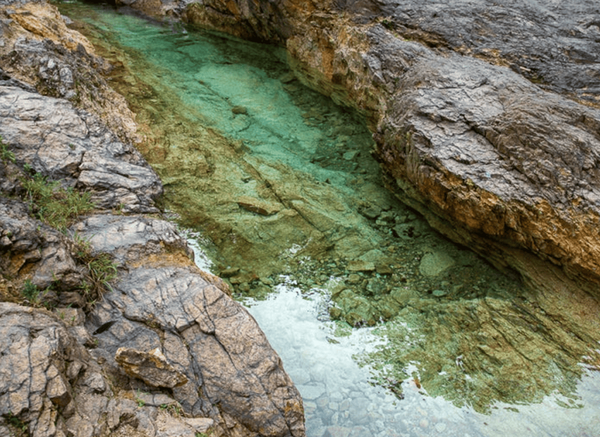 온라인 커뮤니티