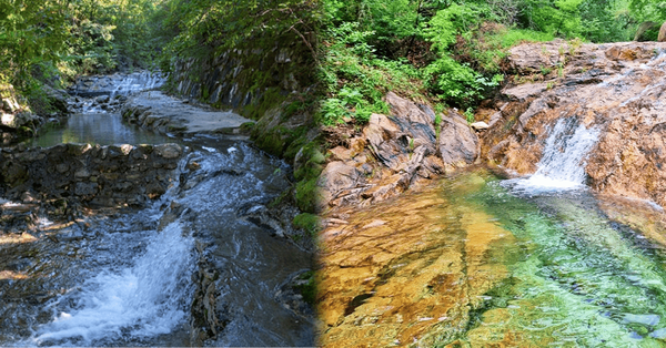 온라인 커뮤니티