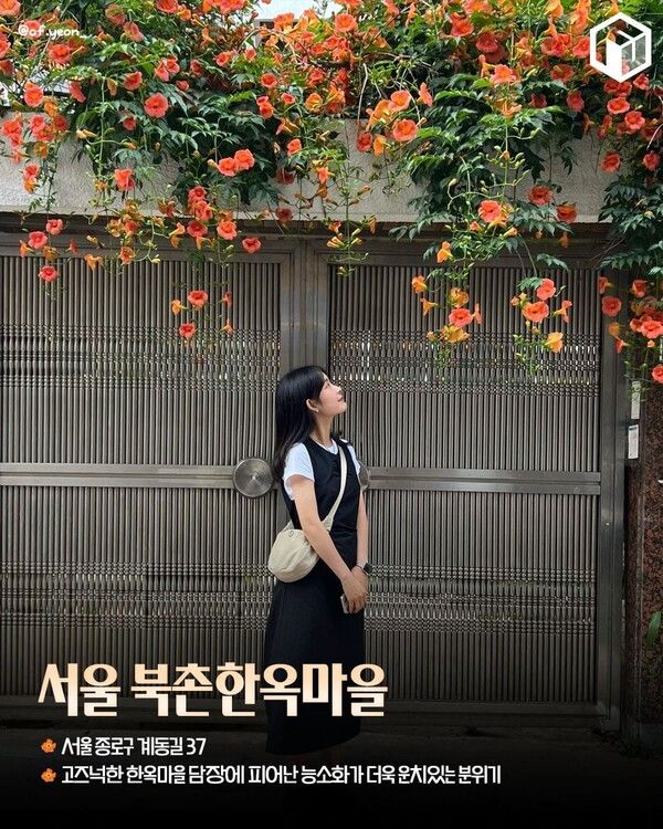 능소화 명소 추천 / ⓒ여행톡톡