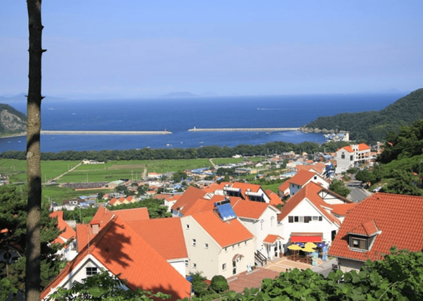 온라인 커뮤니티