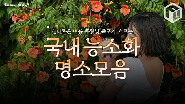 능소화 명소 추천 / ⓒ여행톡톡