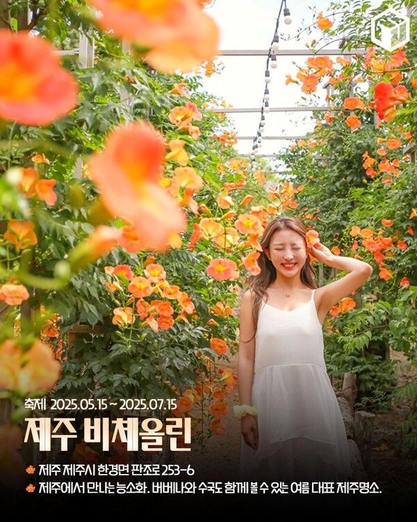 능소화 명소 추천 / ⓒ여행톡톡