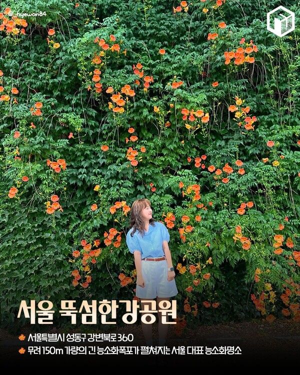 능소화 명소 추천 / ⓒ여행톡톡